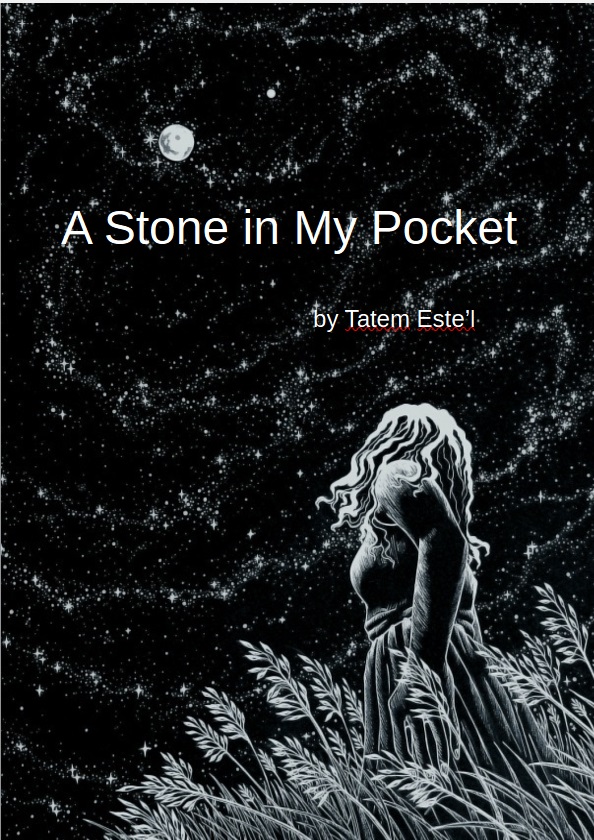 A Stone in My Pocket